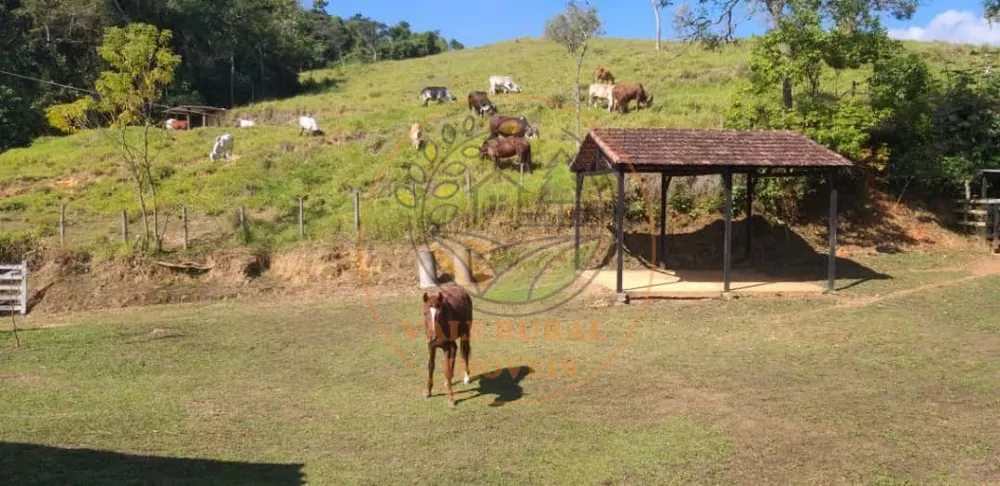 Sítio, 2 quartos, 5 m² - Foto 1