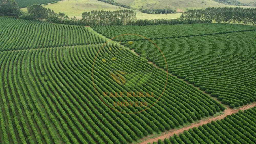 Fazenda - Foto 6