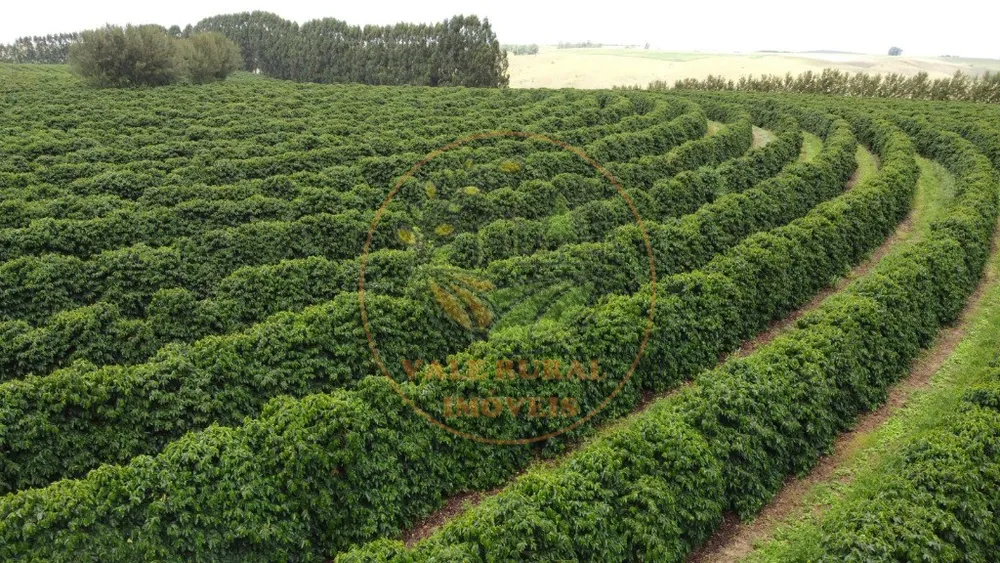 Fazenda - Foto 8
