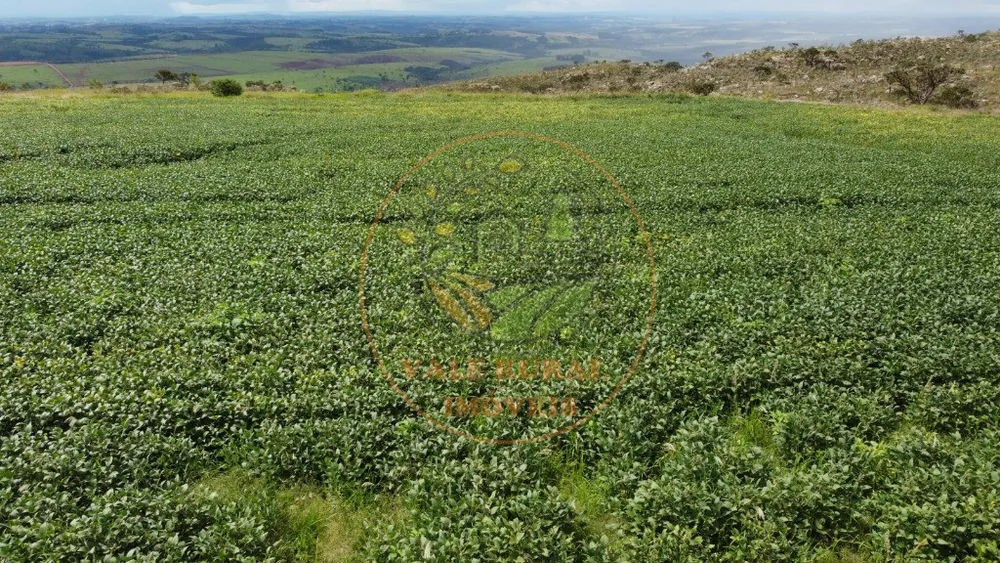 Fazenda - Foto 10