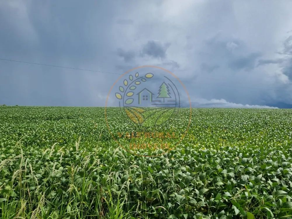 Fazenda - Foto 5