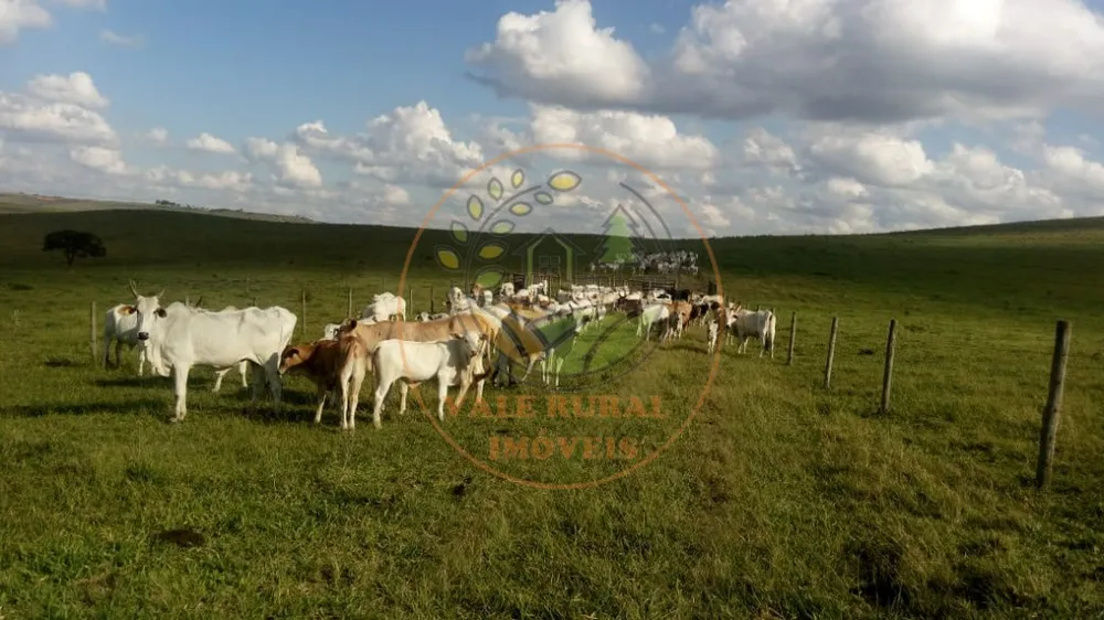 Fazenda - Foto 3