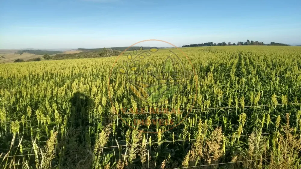 Fazenda - Foto 2