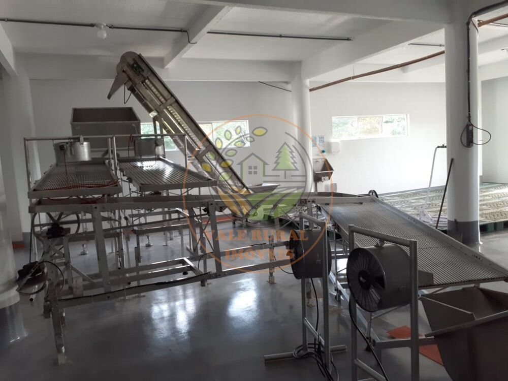 Depósito-Galpão - Foto 3