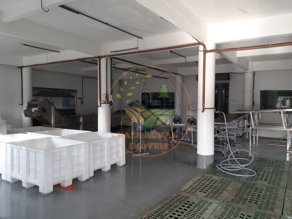 Depósito-Galpão - Foto 1