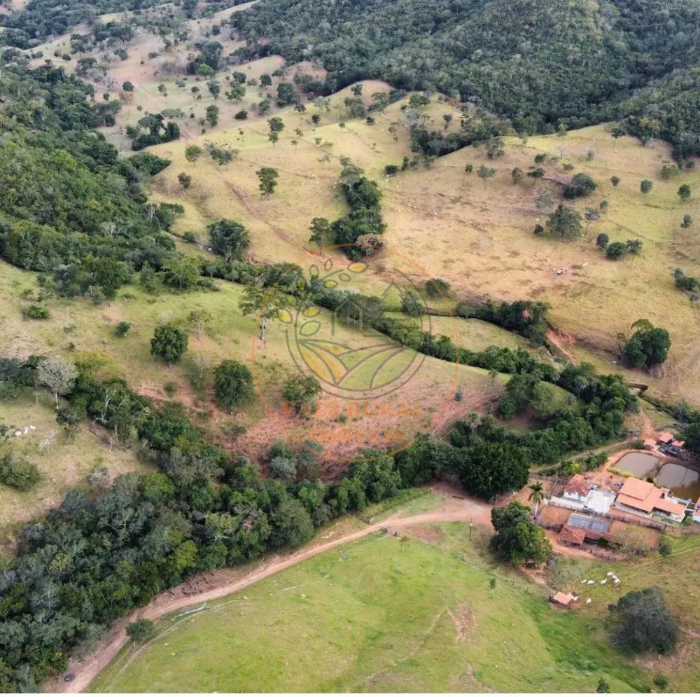 Fazenda - Foto 4