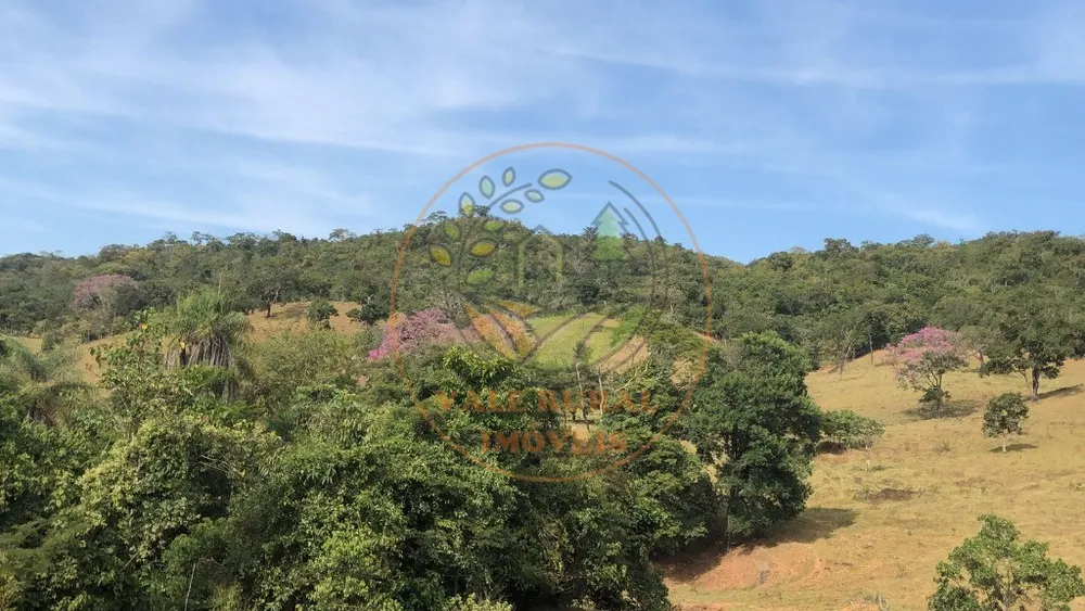 Fazenda - Foto 5