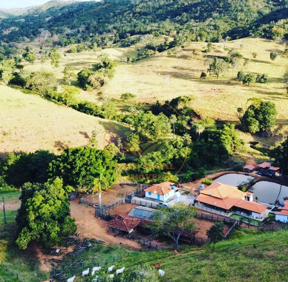 Fazenda - Foto 1