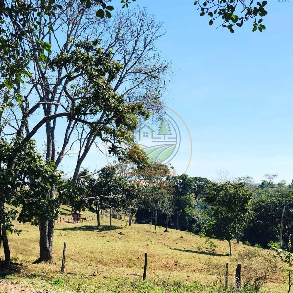 Fazenda - Foto 7