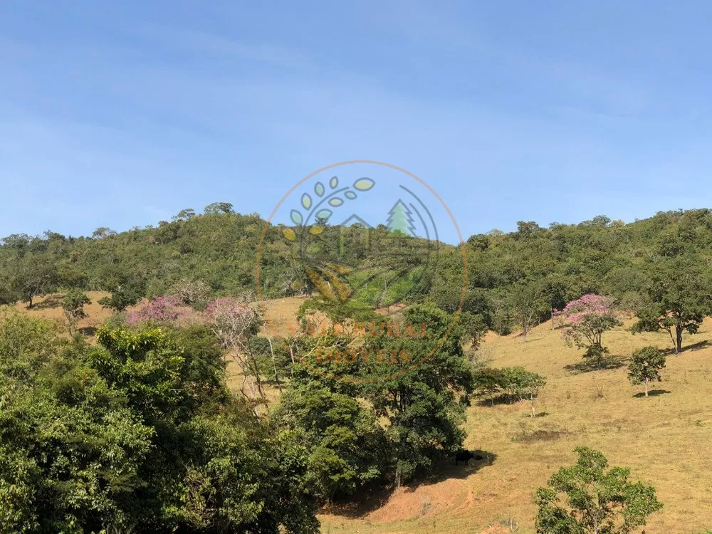 Fazenda - Foto 6