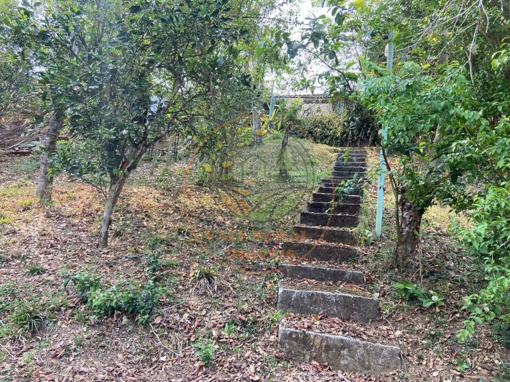 Chácara à venda com 3 quartos - Foto 32