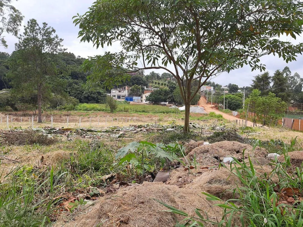 Terreno, 1410 m² - Foto 4