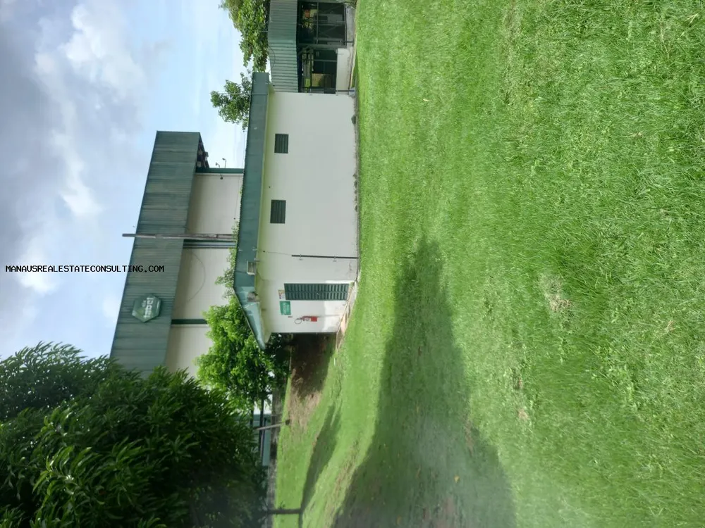 Depósito-Galpão, 6000 m² - Foto 3