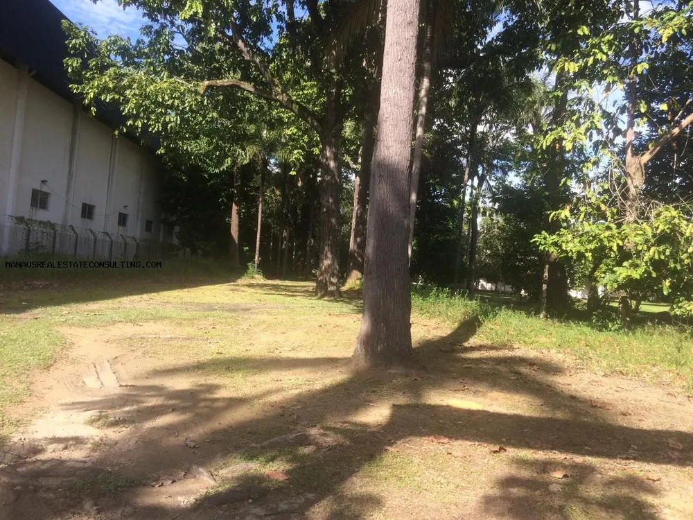 Terreno, 48 m² - Foto 3
