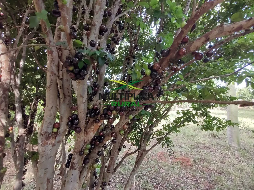Terreno, 200 m² - Foto 12