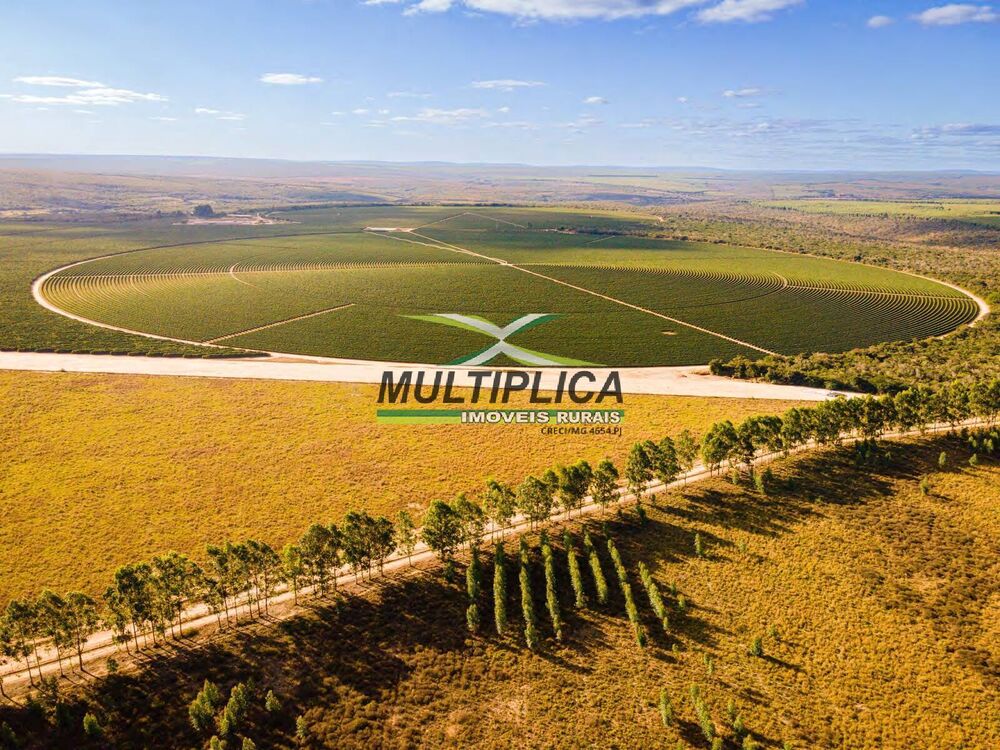 Terreno à venda, 1216m² - Foto 2