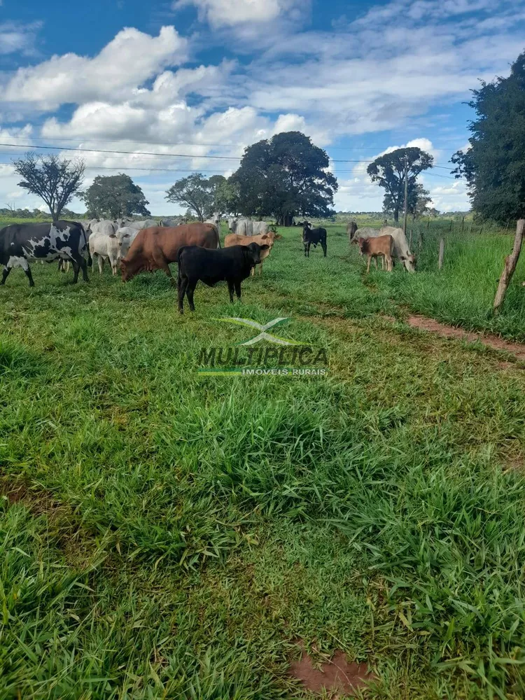 Terreno à venda, 266m² - Foto 2