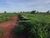 Terreno, 2040 m² - Foto 4