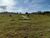 Terreno, 290 m² - Foto 1