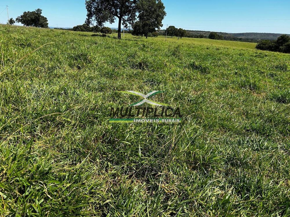Terreno à venda, 906m² - Foto 1
