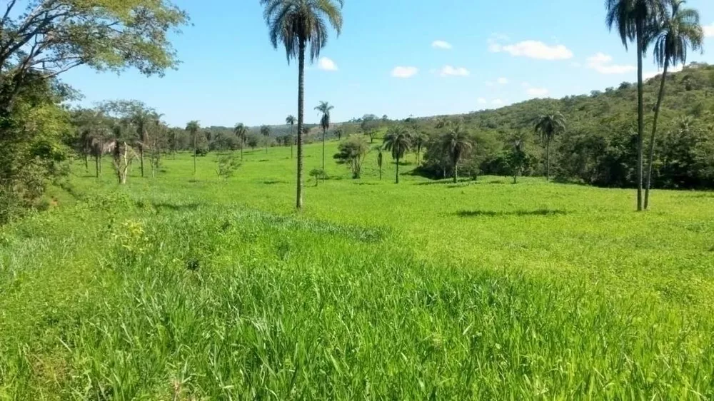 Terreno à venda, 460m² - Foto 2