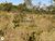 Terreno, 45 m² - Foto 2