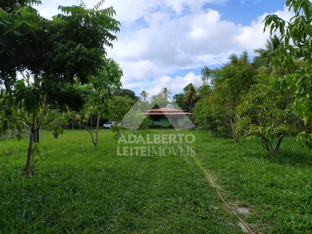 Sítio, 2 quartos, 1 hectares - Foto 3