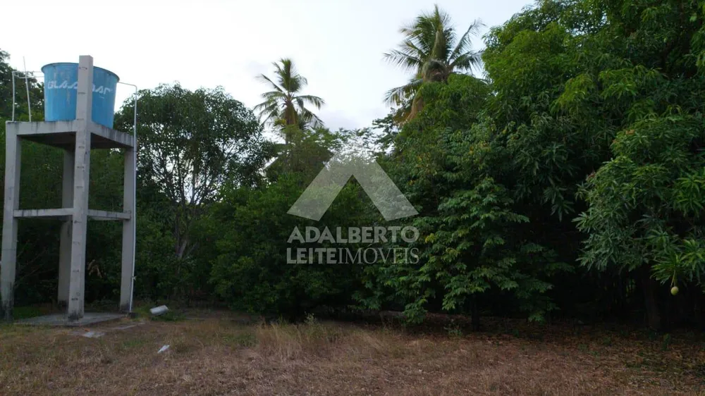 Sítio, 2 quartos, 1 hectares - Foto 2