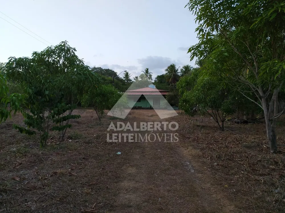 Sítio, 2 quartos, 1 hectares - Foto 4