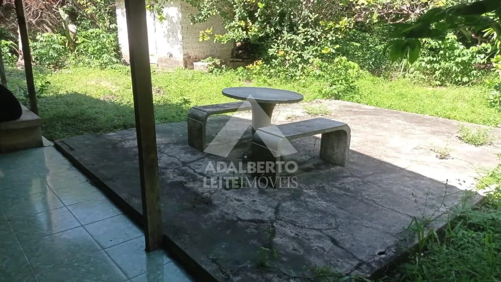 Sítio, 3 quartos, 4300 m² - Foto 5