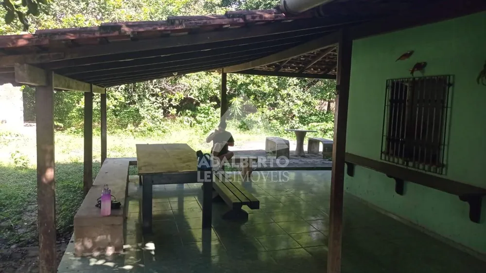 Sítio, 3 quartos, 4300 m² - Foto 6