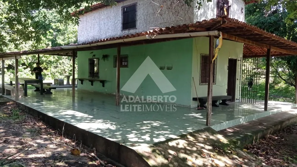 Sítio, 3 quartos, 4300 m² - Foto 2