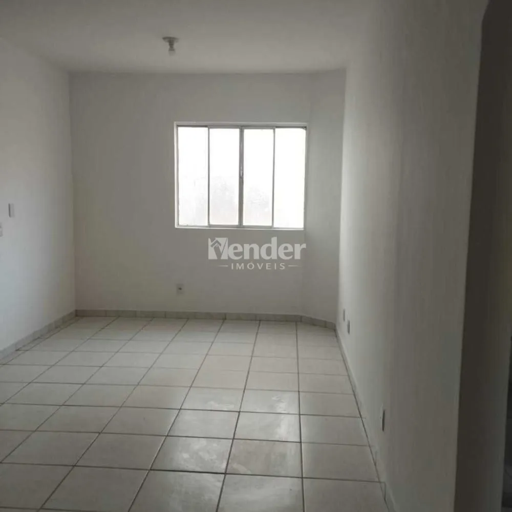 Casa, 6 quartos, 300 m² - Foto 11