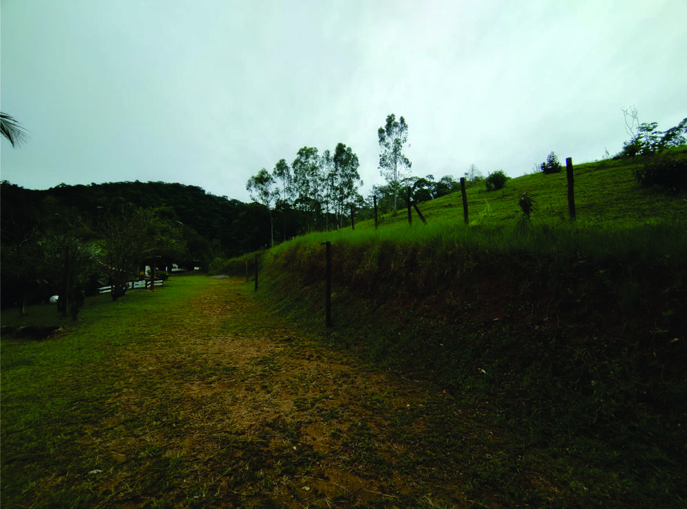 Fazenda, 9 hectares - Foto 9