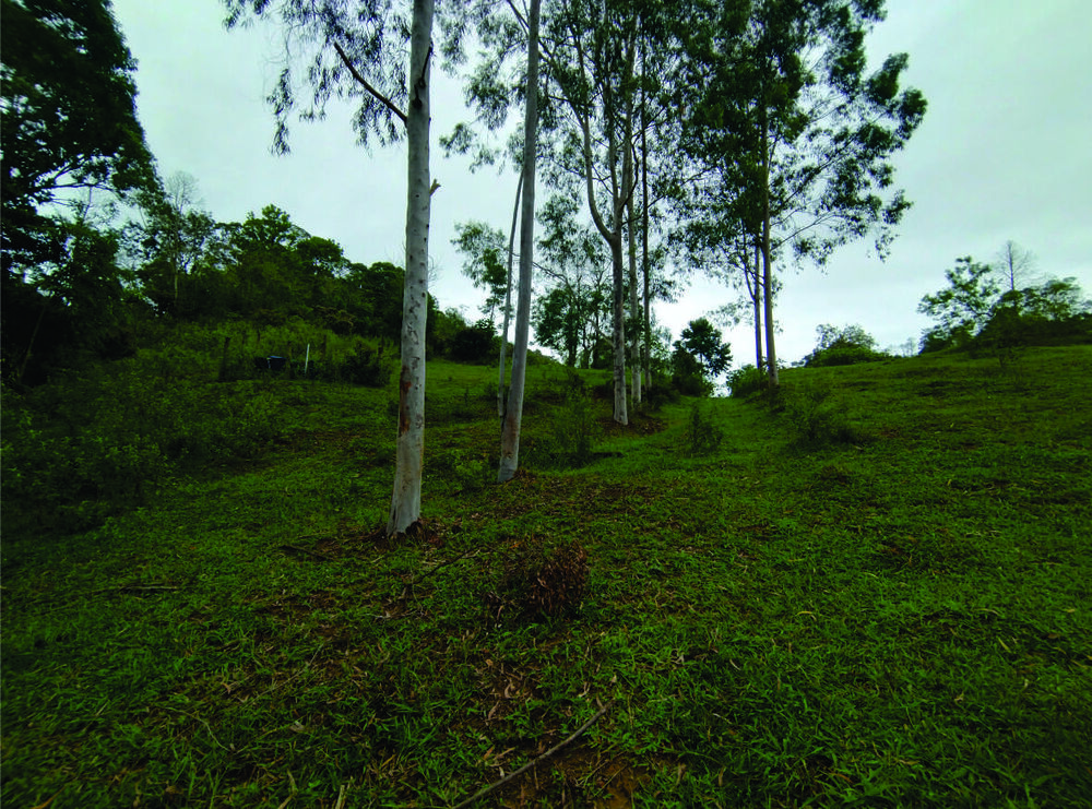 Fazenda, 9 hectares - Foto 8