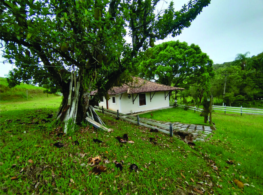 Fazenda, 9 hectares - Foto 17