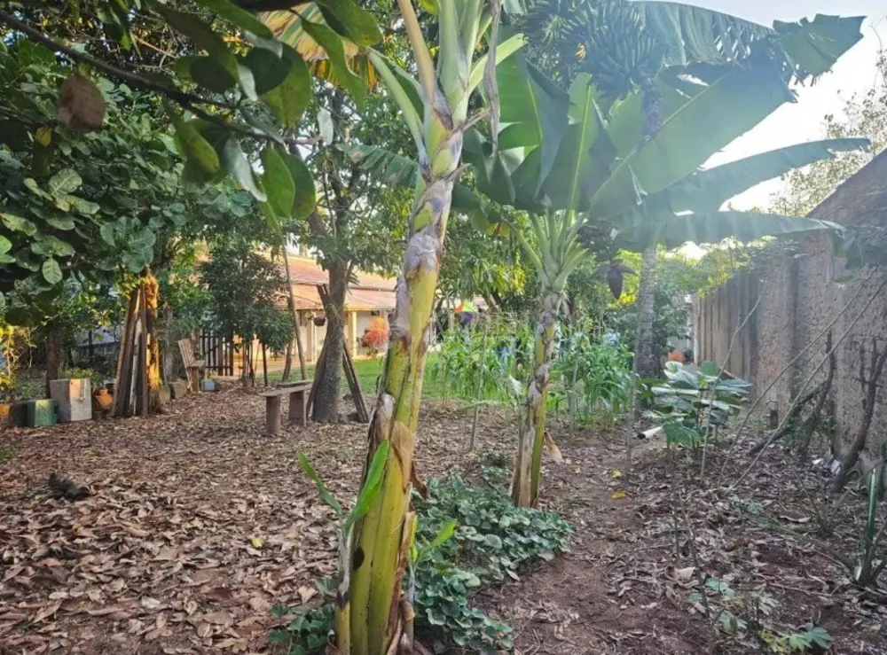 Chácara, 2 quartos, 1000 m² - Foto 8