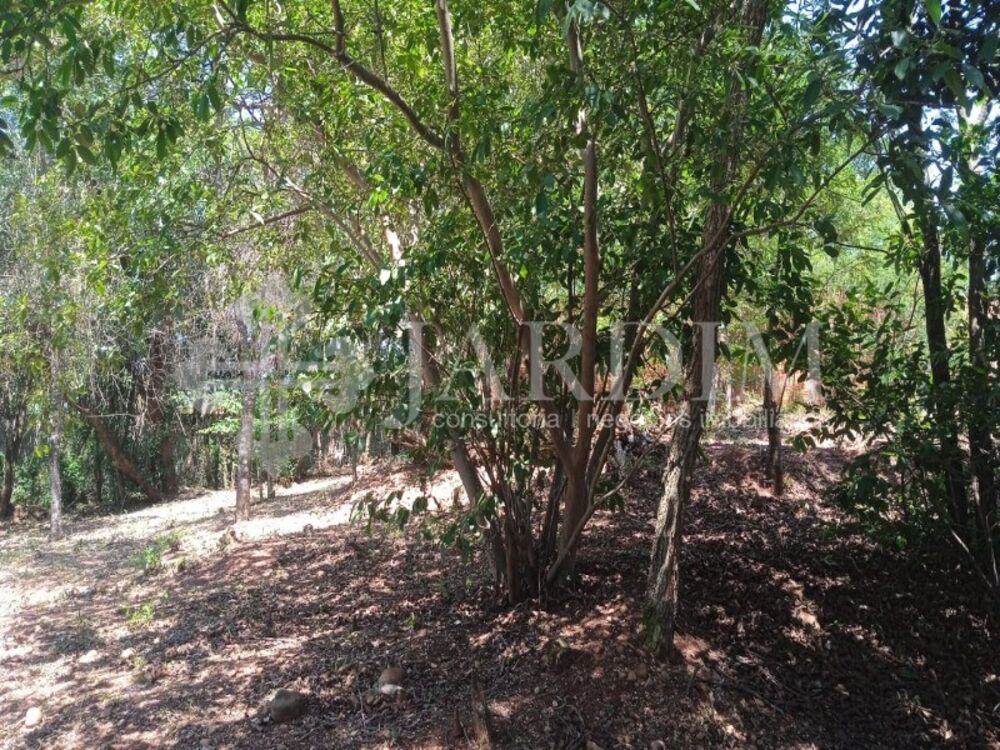 Terreno, 1056 m² - Foto 12