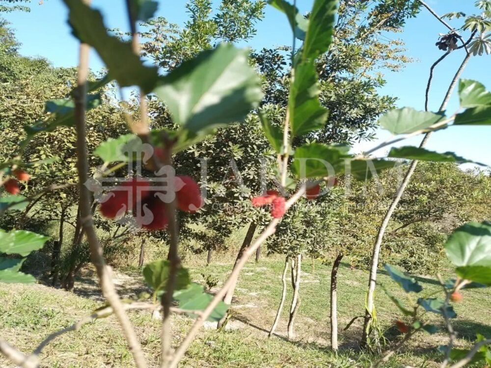 Terreno, 1500 m² - Foto 19