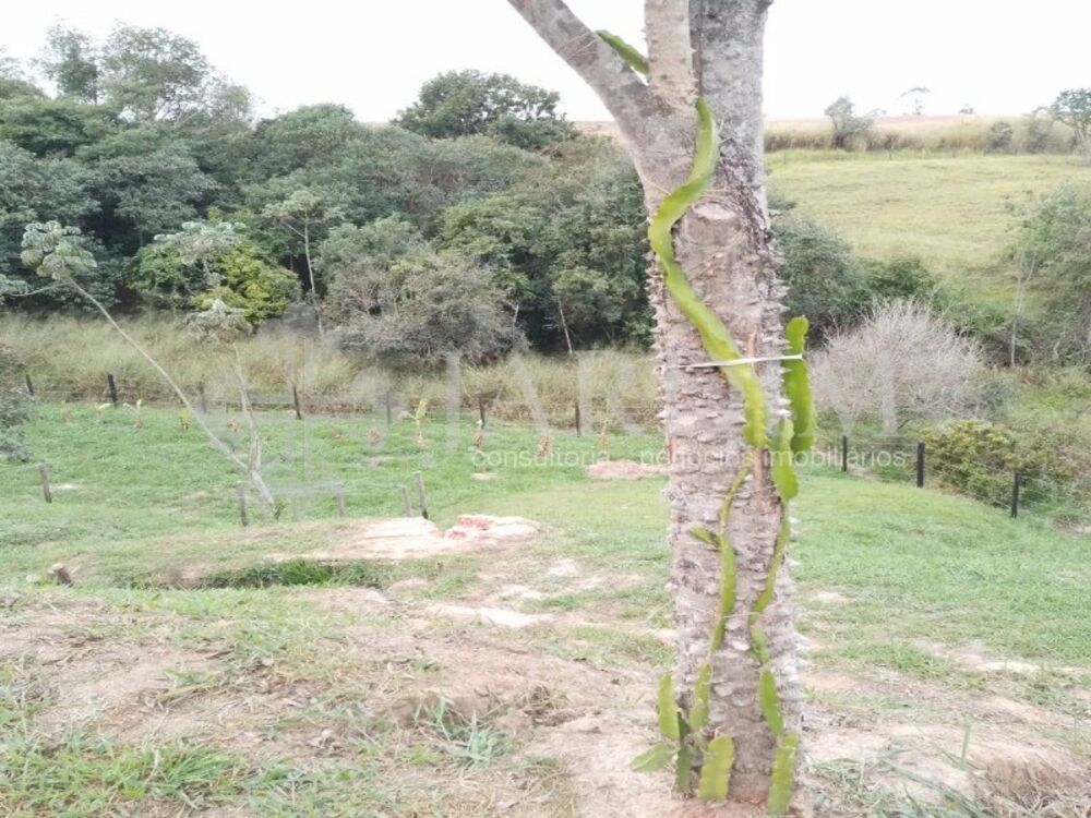Terreno, 1500 m² - Foto 10