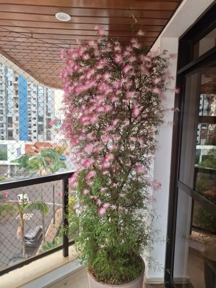 Apartamento, 4 quartos, 250 m² - Foto 15