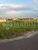 Terreno, 175 m² - Foto 2
