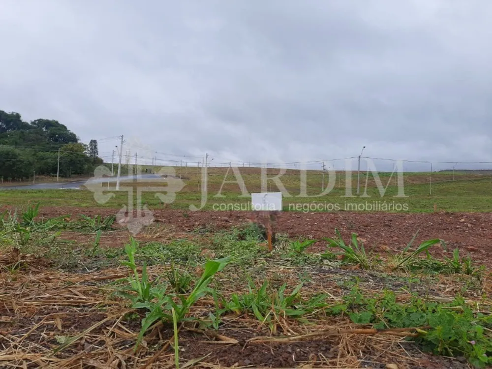 Terreno, 250 m² - Foto 7