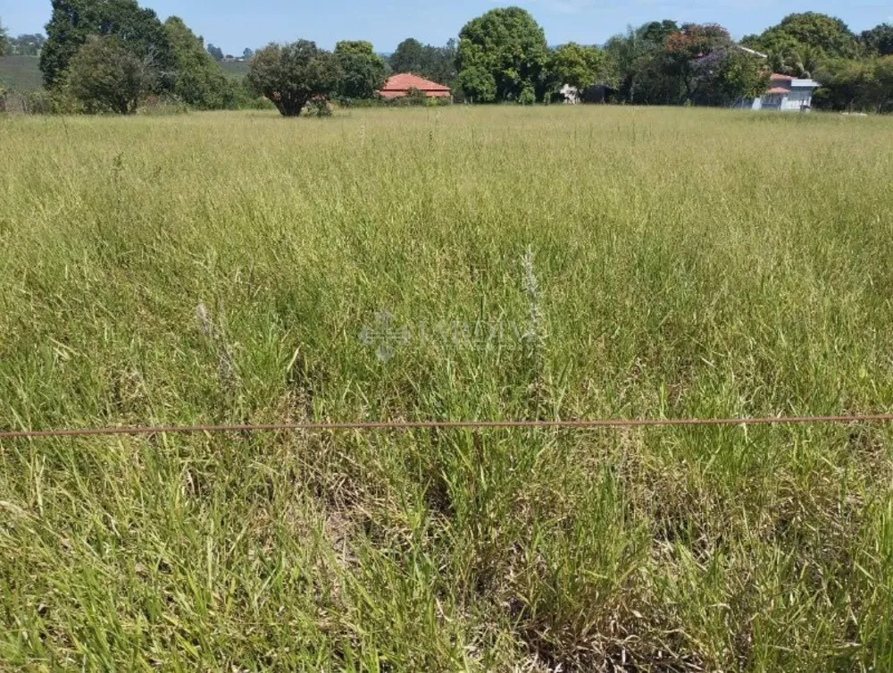 Terreno, 5000 m² - Foto 3