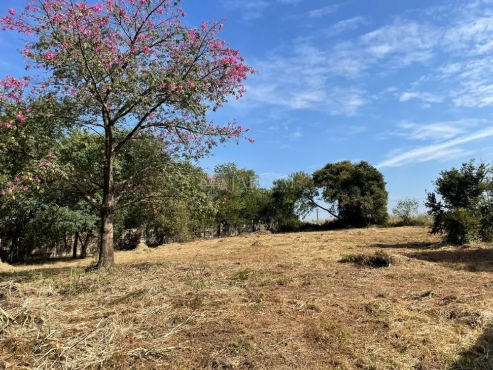 Terreno, 2048 m² - Foto 12
