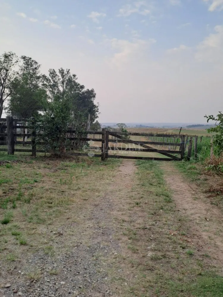Fazenda, 77 hectares - Foto 15
