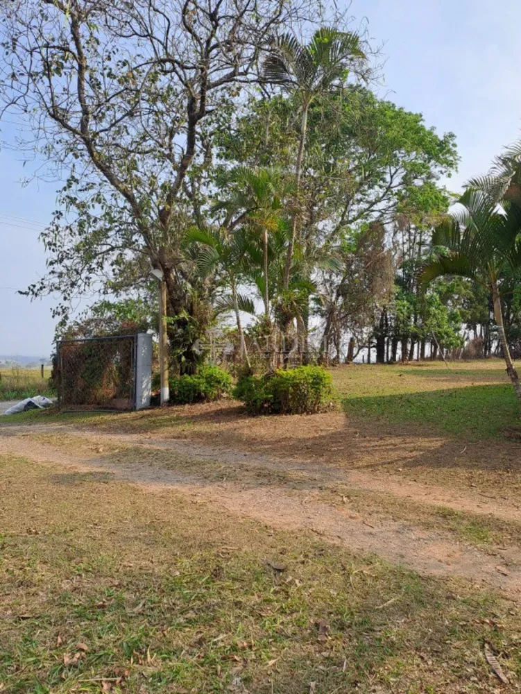 Fazenda, 77 hectares - Foto 10