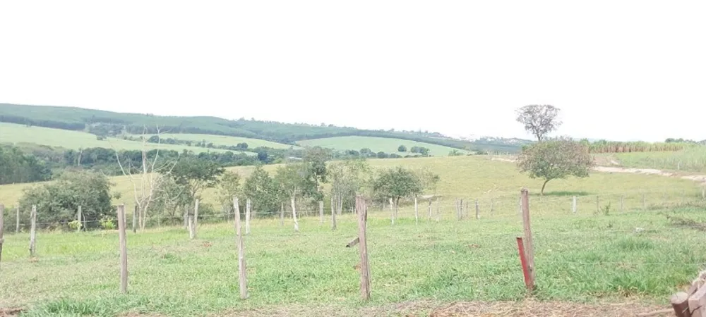 Terreno, 1548 m² - Foto 8