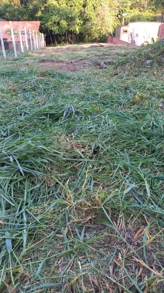 Terreno, 700 m² - Foto 3