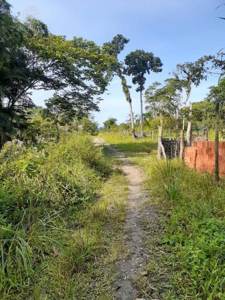 Terreno, 1000 m² - Foto 1
